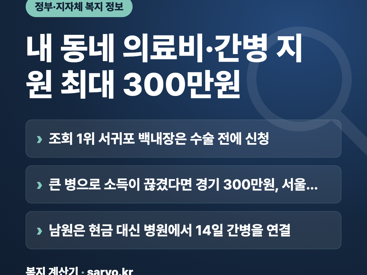내 동네 의료비·간병 지원 최대 300만원 요약