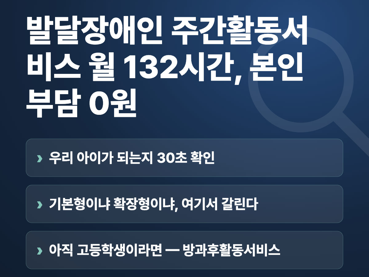 발달장애인 주간활동서비스 월 132시간, 본인부담 0원 요약