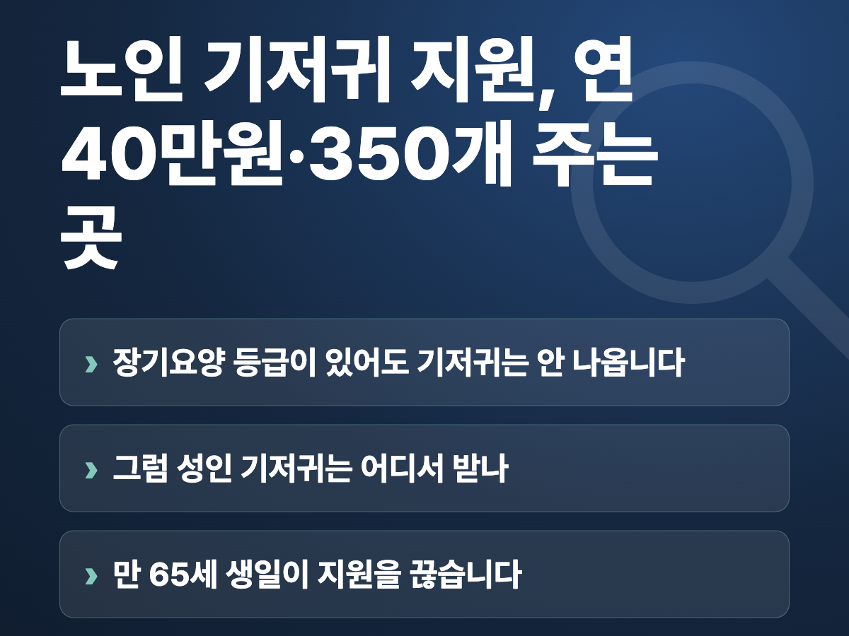 노인 기저귀 지원, 연 40만원·350개 주는 곳 요약
