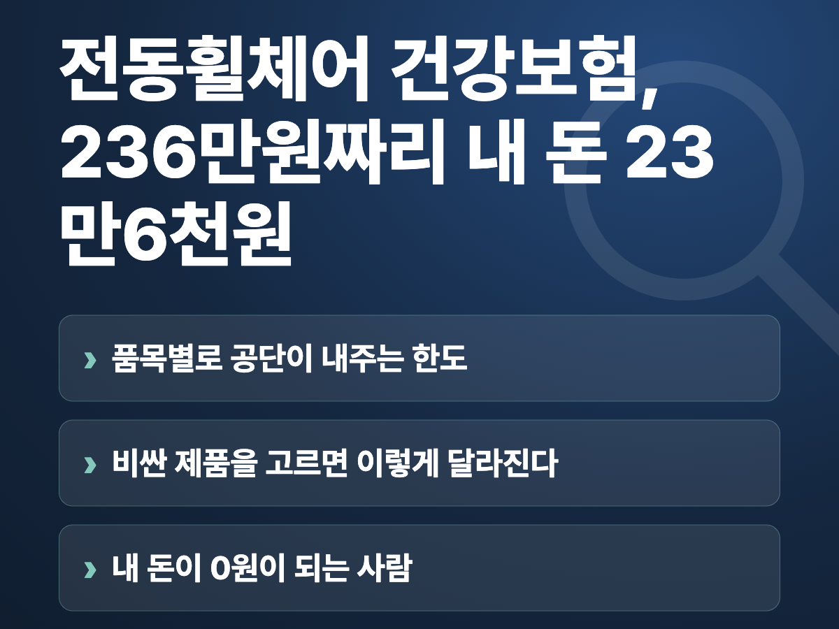 전동휠체어 건강보험, 236만원짜리 내 돈 23만6천원 요약
